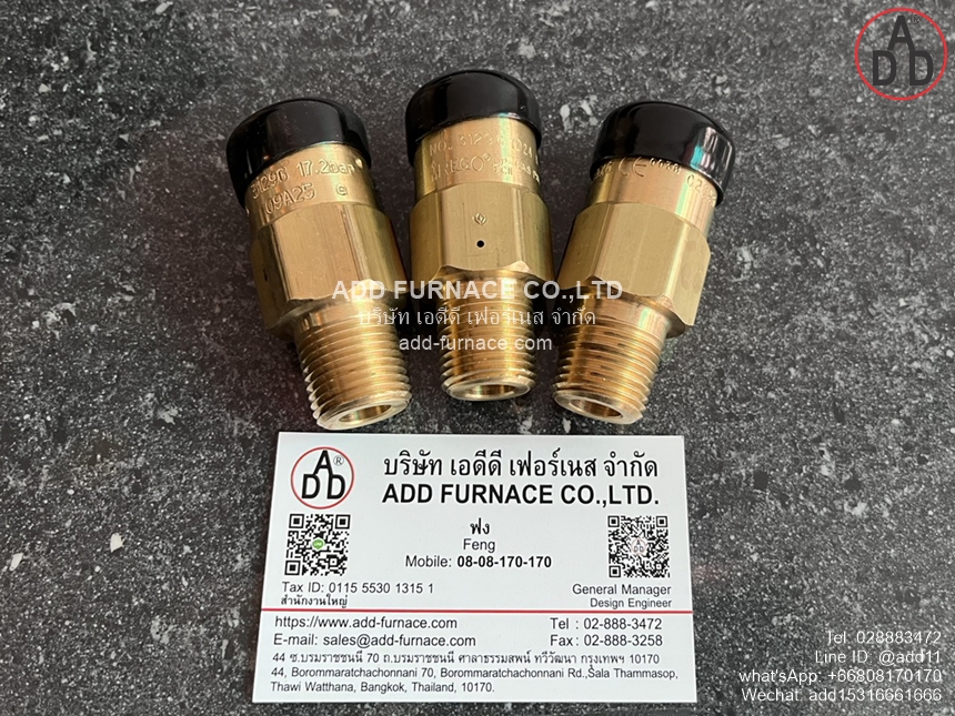 Rego 3129G Safety Relief Valve (1)